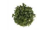 Chopped Green Kale