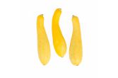Medium Yellow Squash