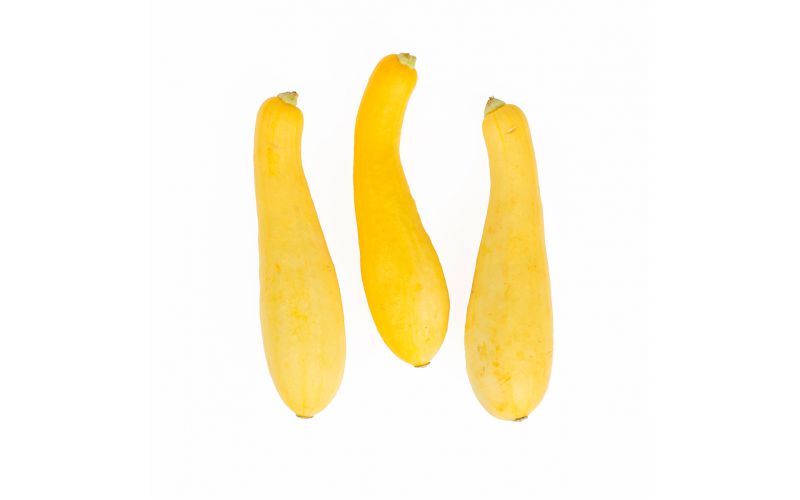 Medium Yellow Squash