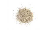 Raw Shelled Sunflower Seeds