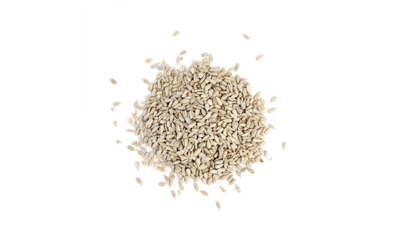 Raw Shelled Sunflower Seeds