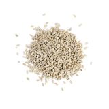 Raw Shelled Sunflower Seeds
