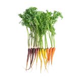 Organic Rainbow Carrot Mix