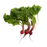 Organic Red Beets