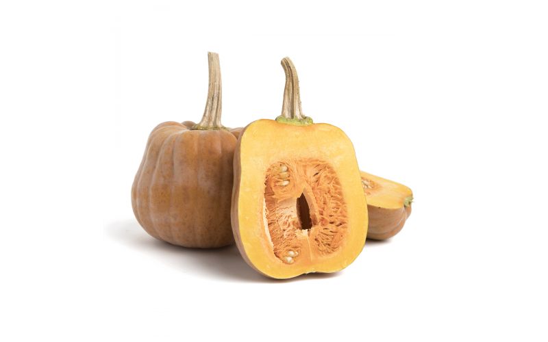 Organic Row 7 Koginut Squash