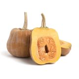 Organic Row 7 Koginut Squash