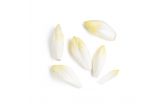 Belgian Endive