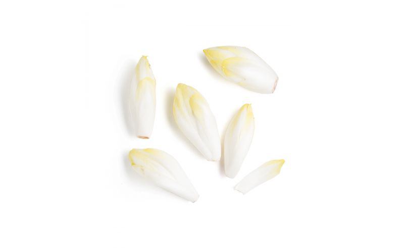 Belgian Endive