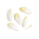 Belgian Endive