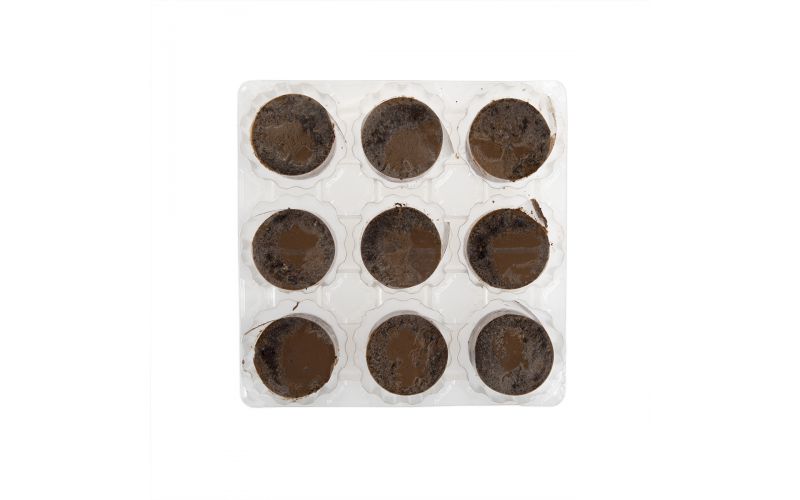 3 inch 4 Star Supreme Chocolate Mousse Cakes