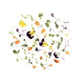 Micro Celebration Mix