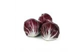 Organic Radicchio