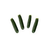 Baby Green Zucchini
