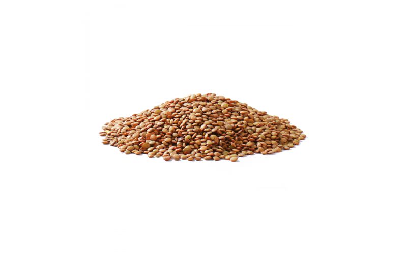 Brown Lentils
