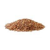 Brown Lentils