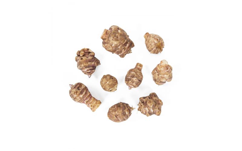 European Heirloom Sunchokes