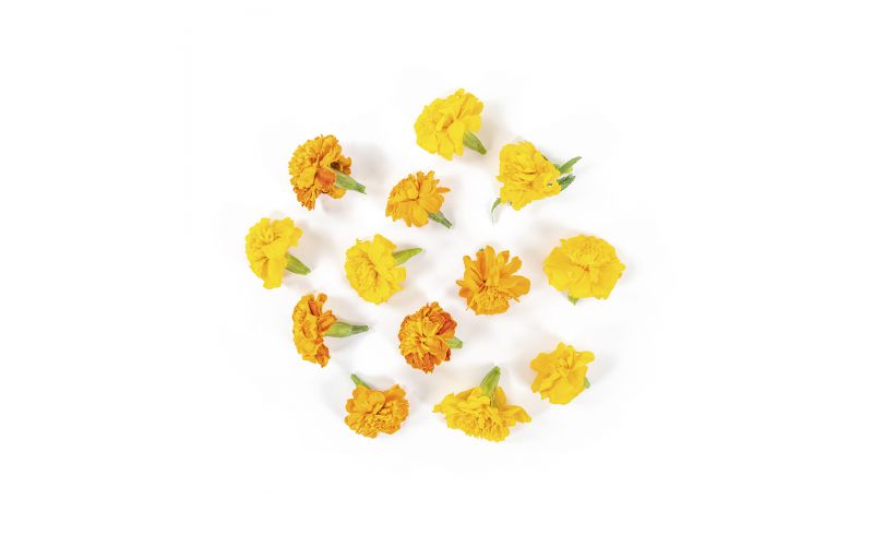 Marigold Flowers