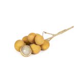 Longan Fruit