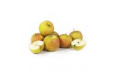 Holstein Heirloom Apples