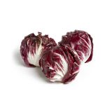 Organic Chioggia Radicchio