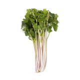 Organic Pink Chinese Celery