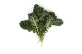 Green Kale