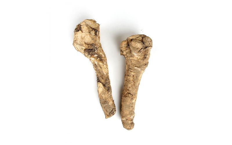 Horseradish Root