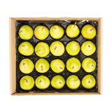 Panta-Pack Bartlett Pears