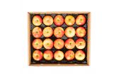 Panta-Pack Honeycrisp Apples