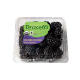 Organic Blackberries