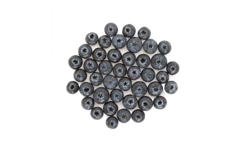 Jumboz Jumbo Blueberries