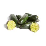 Finger Limes