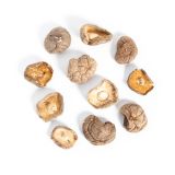 Dried Shiitake Mushrooms
