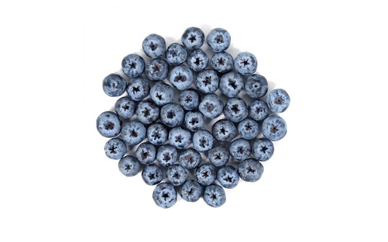 Sweetest Batch Jumbo Blueberries
