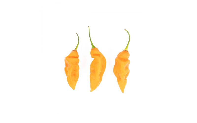 Organic Row 7 Habanada Peppers