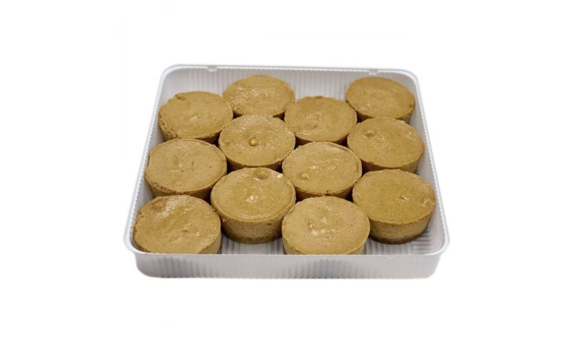 2.5 Pumpkin Cheesecake