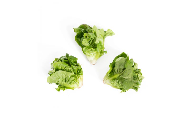 Organic Little Gem Lettuce