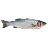 Whole Farm Raised Branzino