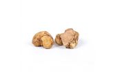 Fresh White Truffle Small Size