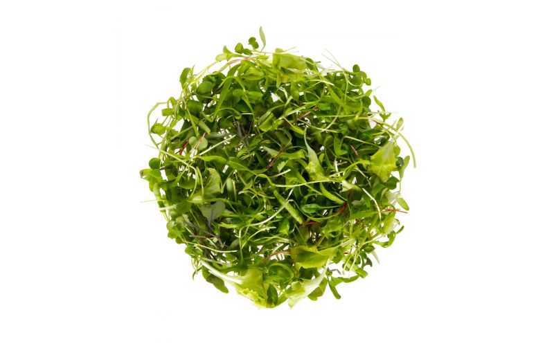 Organic Micro Pete's Super Green Blend