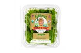 Organic Arugula