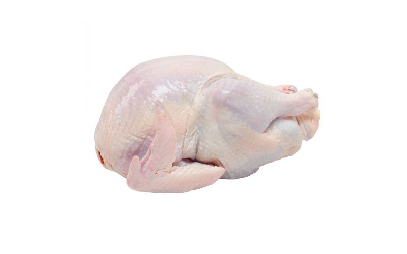 ABF Heritage Black Turkey 21 Up LBS