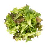 Mesclun Spring Mix