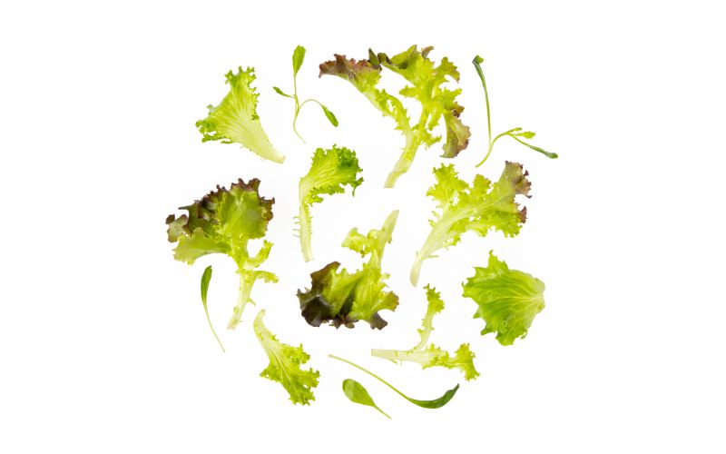 Mesclun Spring Mix
