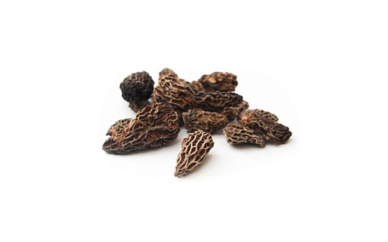 Dried Morel Mushrooms
