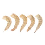 Wild Caught Peeled & Deveined Shrimp 21-25