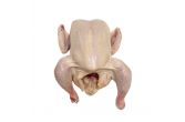 Air Chilled Whole Chickens Retail Ready