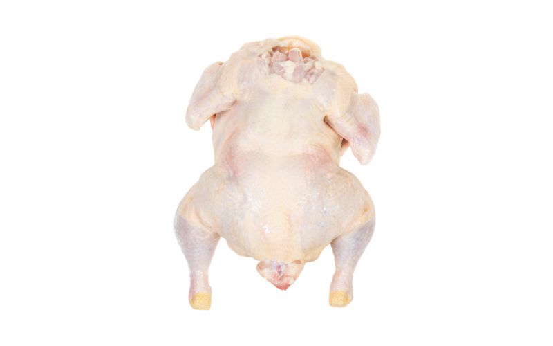 Whole Chicken No Giblets 3 LB