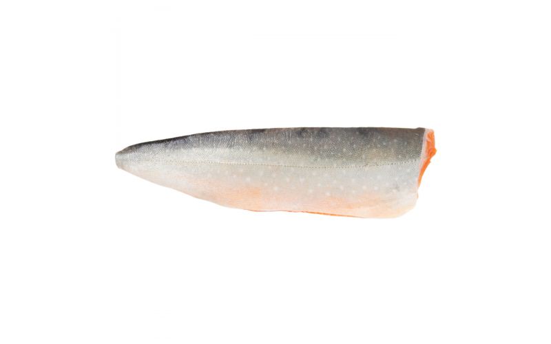 Farm Raised PBO Arctic Char Side