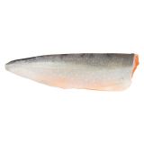 Farm Raised PBO Arctic Char Side